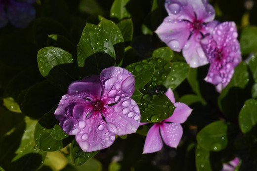 1753020 (a): :1920x1280